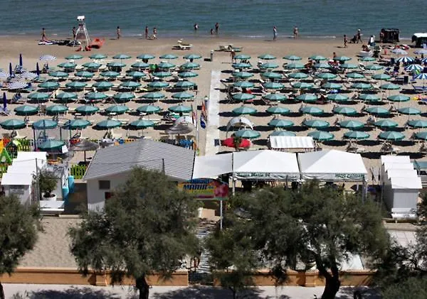 Conchiglia 세니갈리아